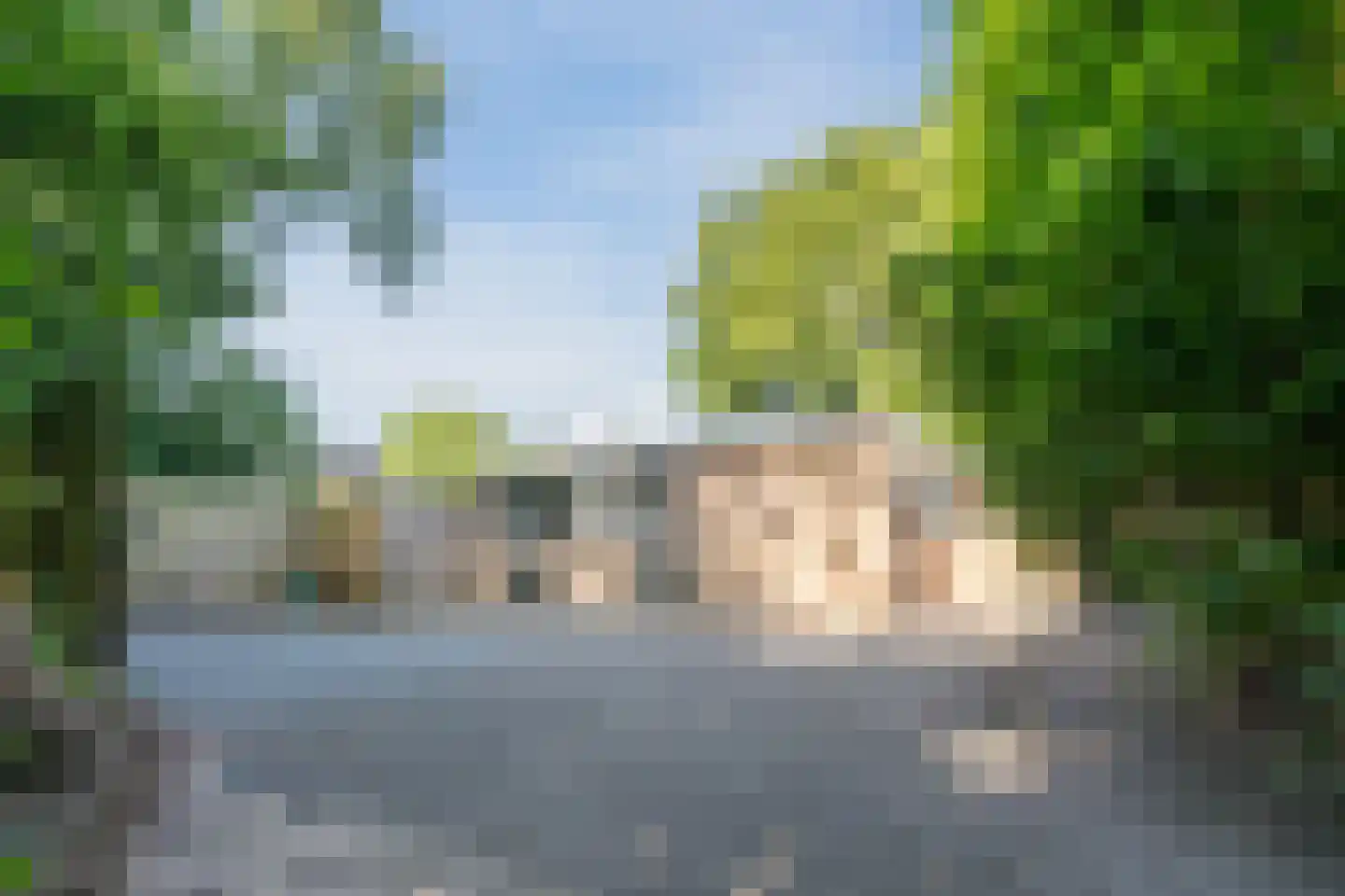 De Breistroeken 63 Nieuw-Balinge thumbnail 7
