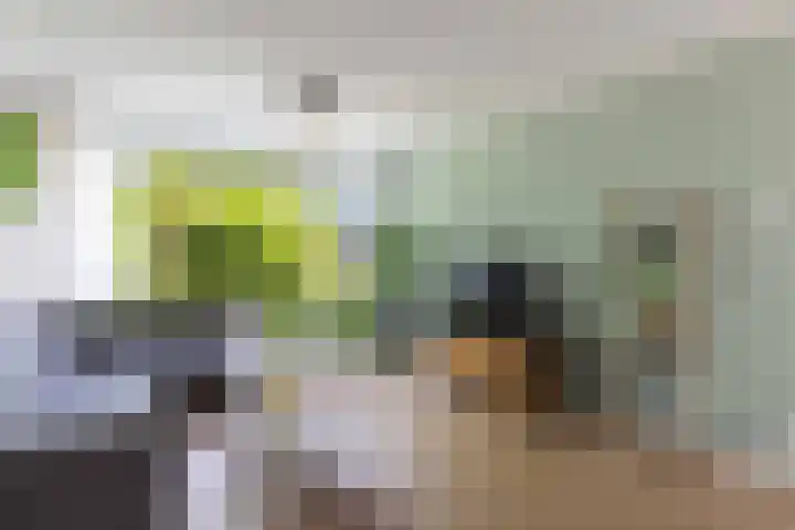 De Brekken 6 Drachten thumbnail 11
