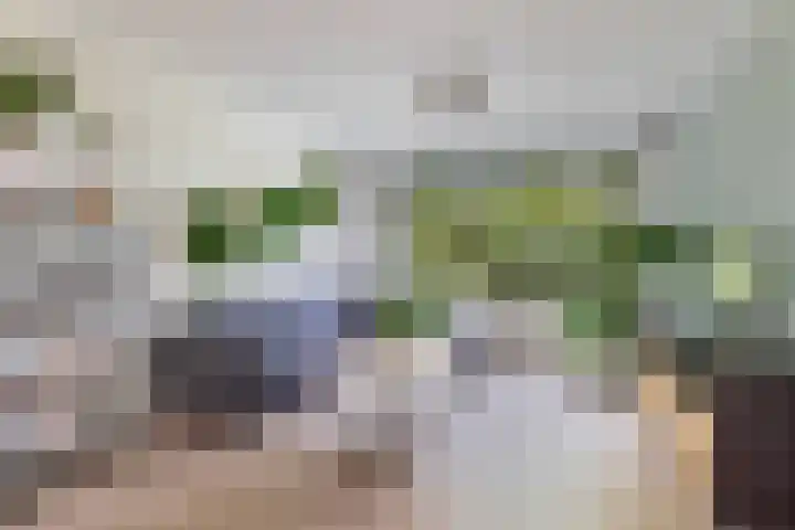 De Brekken 6 Drachten thumbnail 12