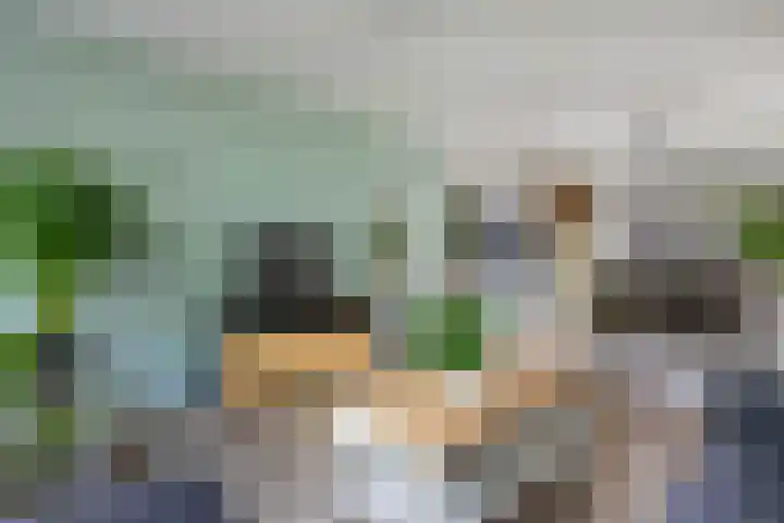 De Brekken 6 Drachten thumbnail 13