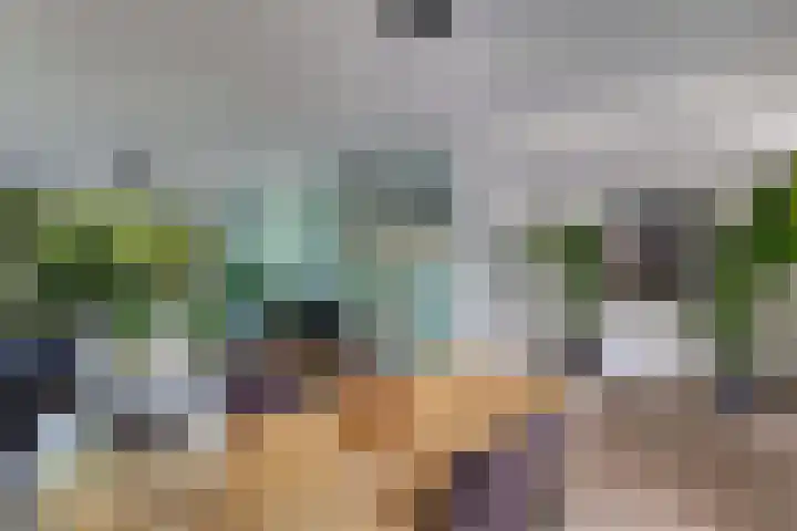 De Brekken 6 Drachten thumbnail 15