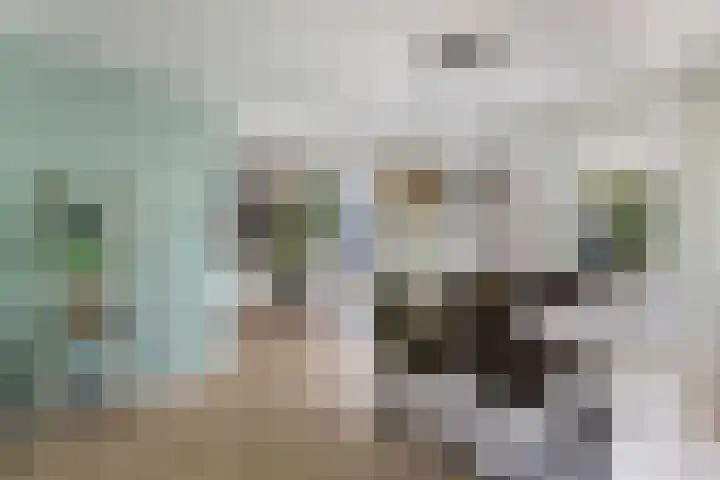 De Brekken 6 Drachten thumbnail 16