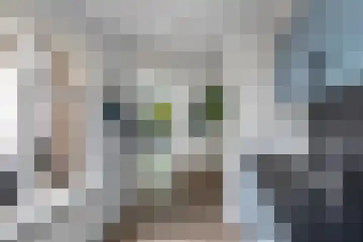 De Brekken 6 Drachten thumbnail 17