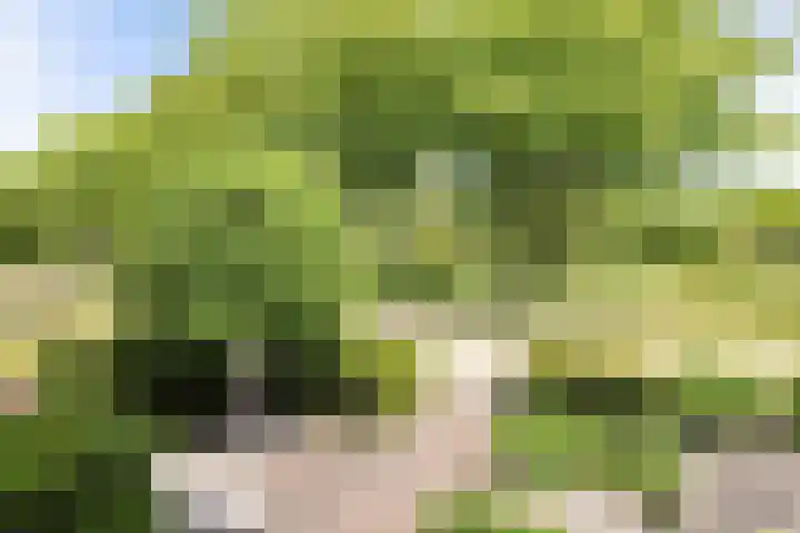 De Brekken 6 Drachten thumbnail 4
