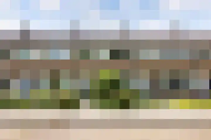 De Brekken 6 Drachten thumbnail 6