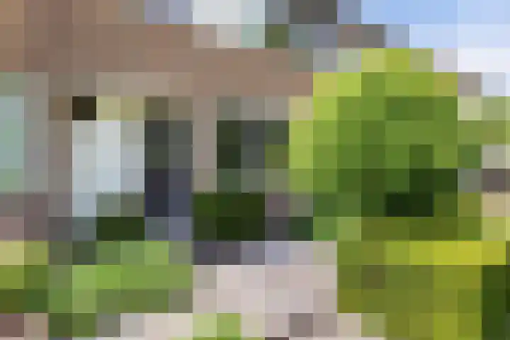 De Brekken 6 Drachten thumbnail 8