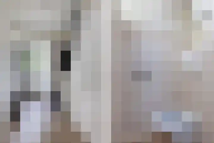 De Brekken 6 Drachten thumbnail 9
