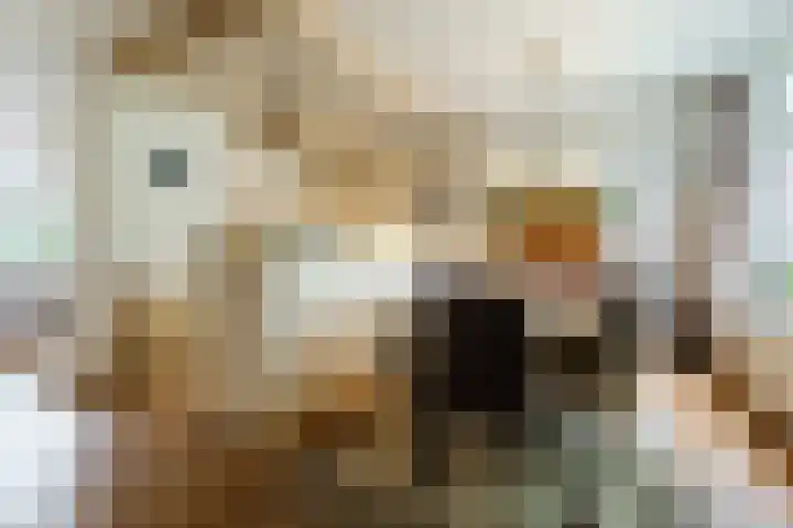 De Brem 13 Malden thumbnail 9