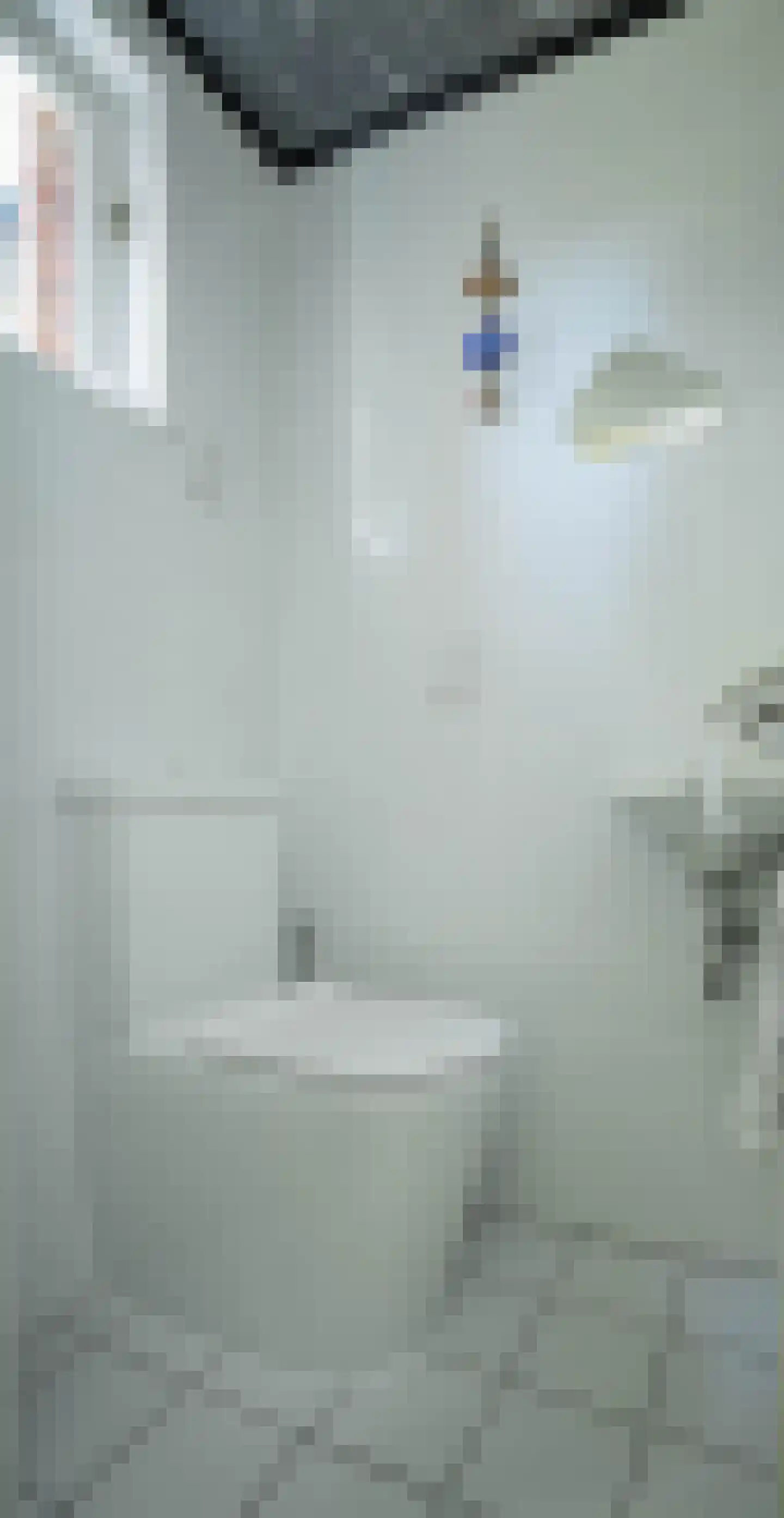 de Bremmen 11 Bakel thumbnail 17