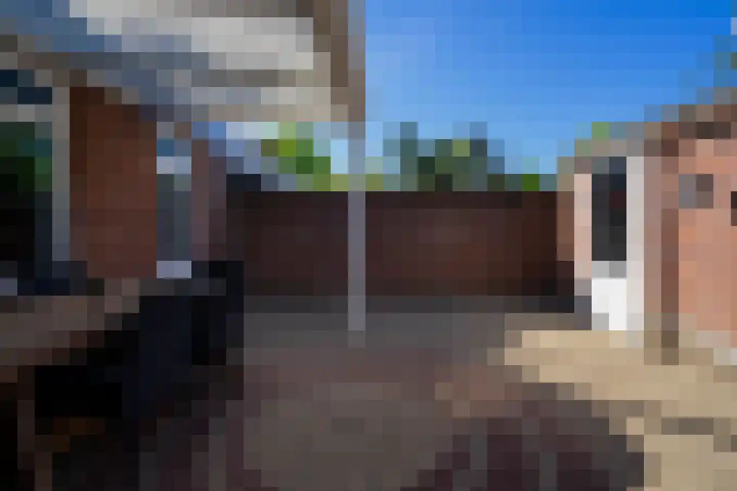 de Bremmen 11 Bakel thumbnail 38