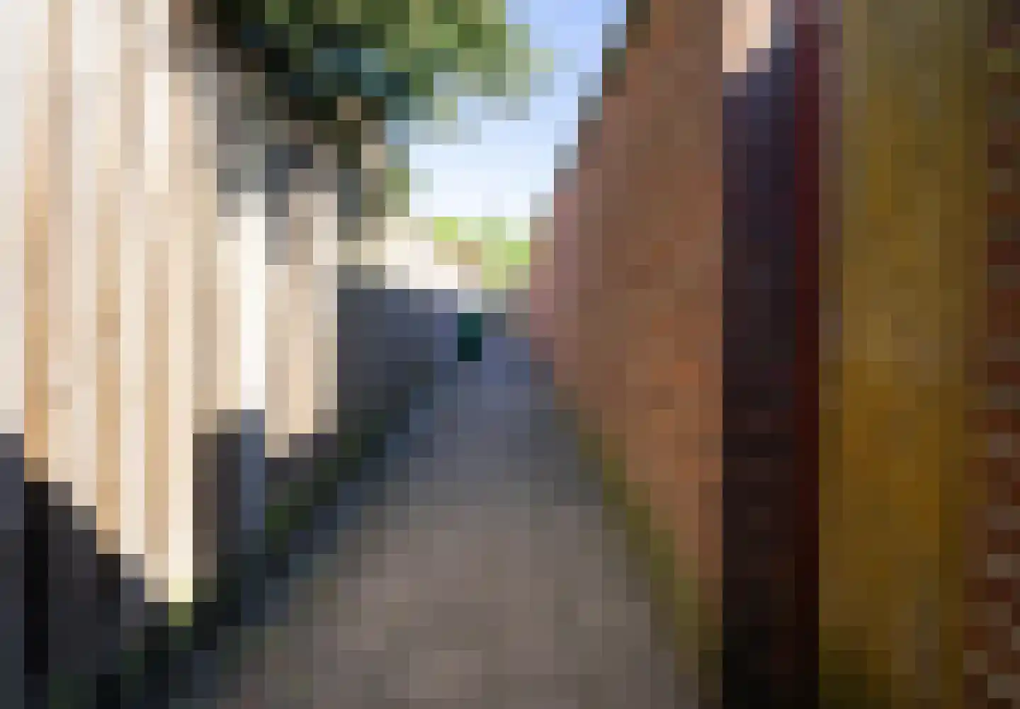 de Bremmen 11 Bakel thumbnail 41