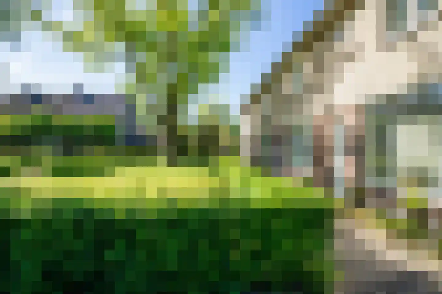de Bremmen 11 Bakel thumbnail 43