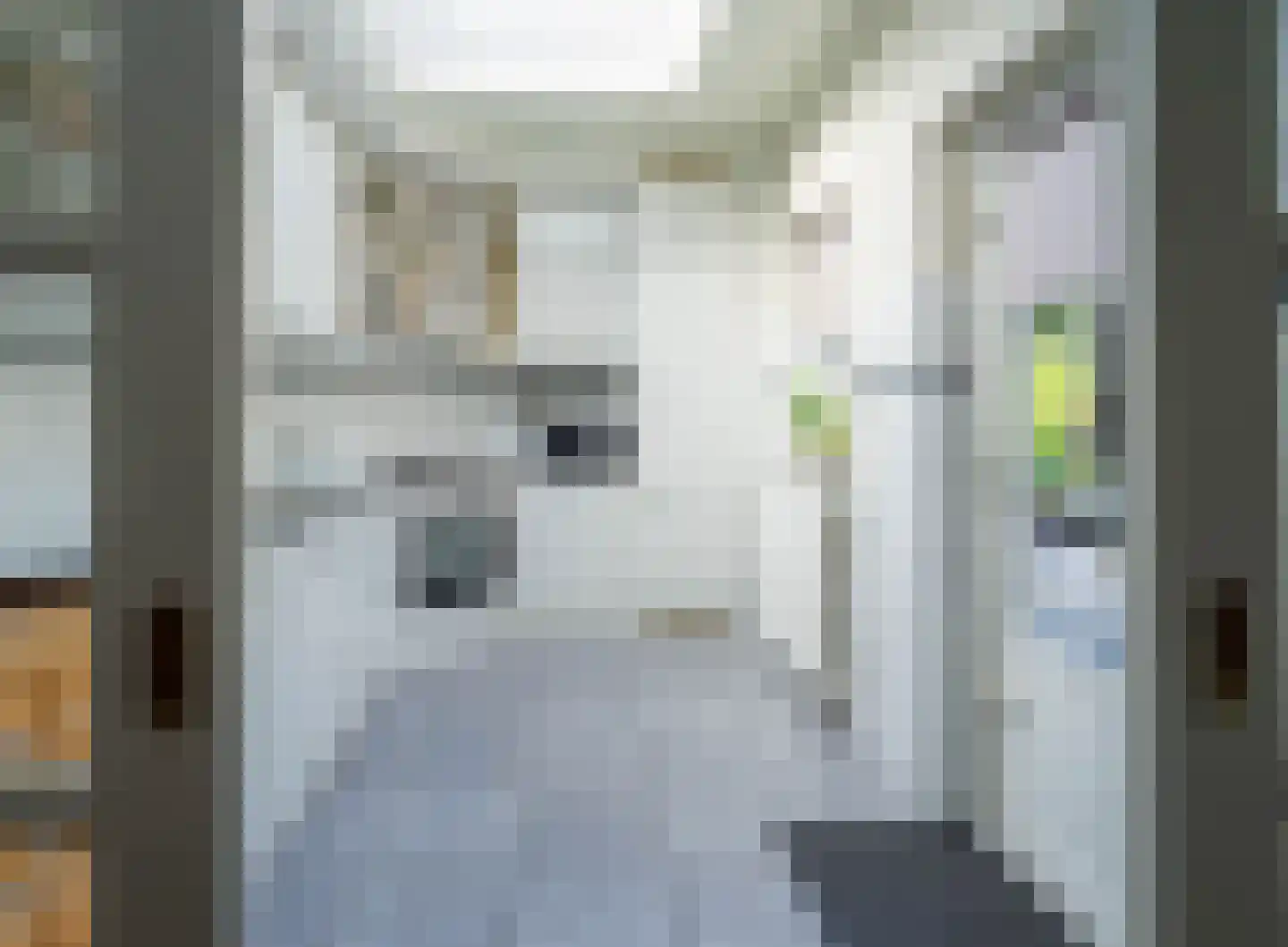 de Bremmen 12 Bakel thumbnail 16