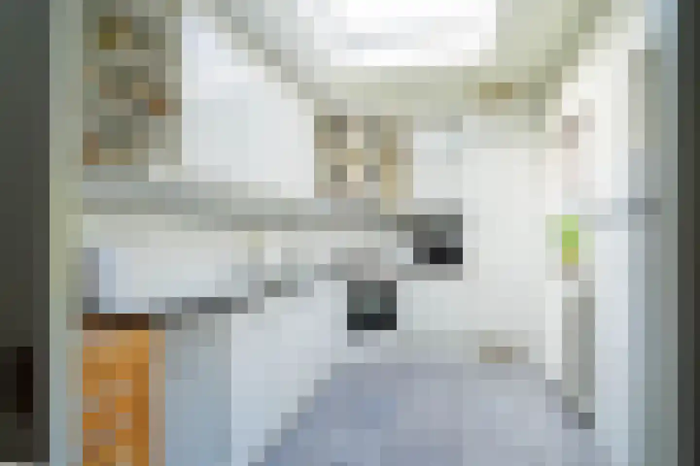 de Bremmen 12 Bakel thumbnail 17