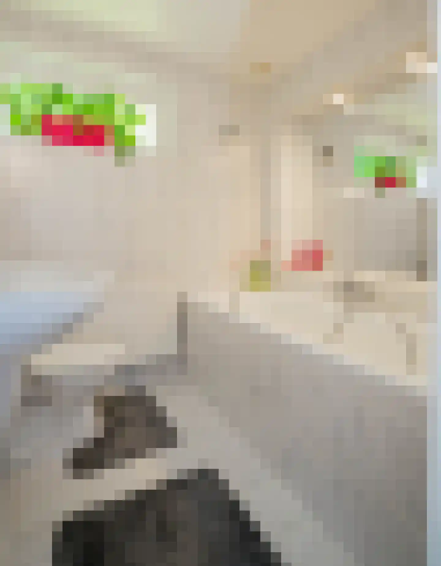 de Bremmen 12 Bakel thumbnail 28