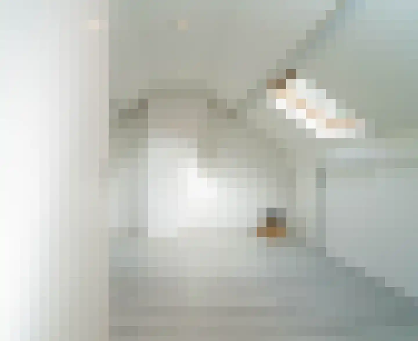 de Bremmen 12 Bakel thumbnail 32