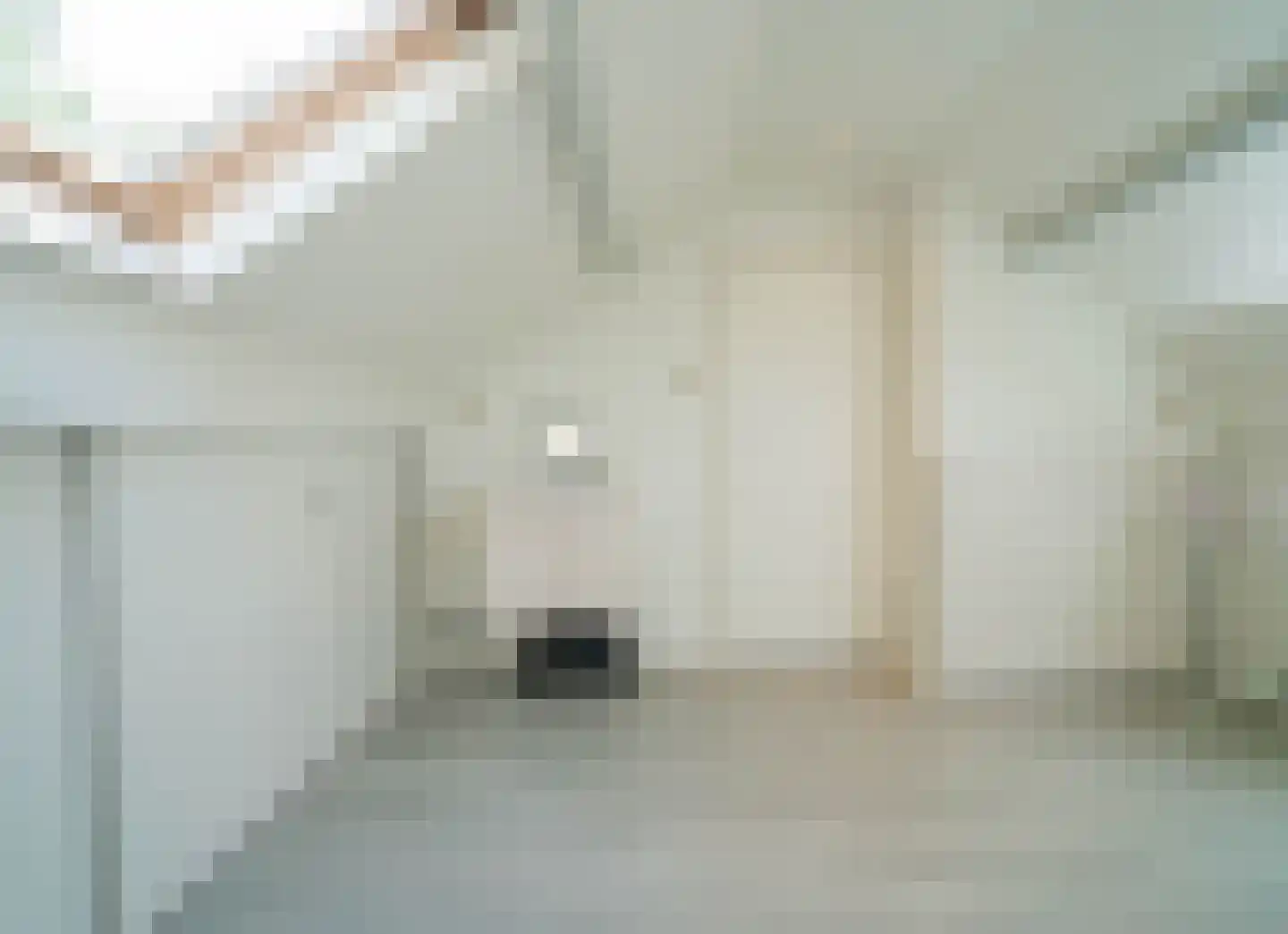 de Bremmen 12 Bakel thumbnail 34