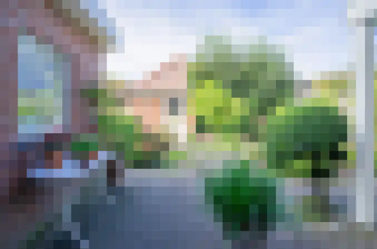 de Bremmen 12 Bakel thumbnail 35