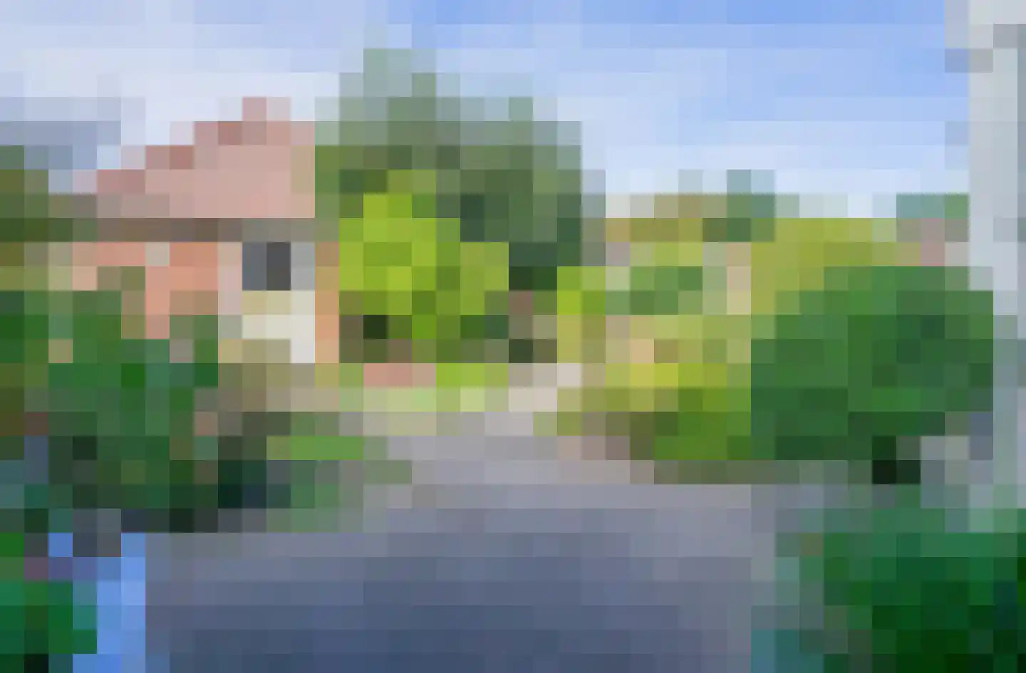 de Bremmen 12 Bakel thumbnail 36