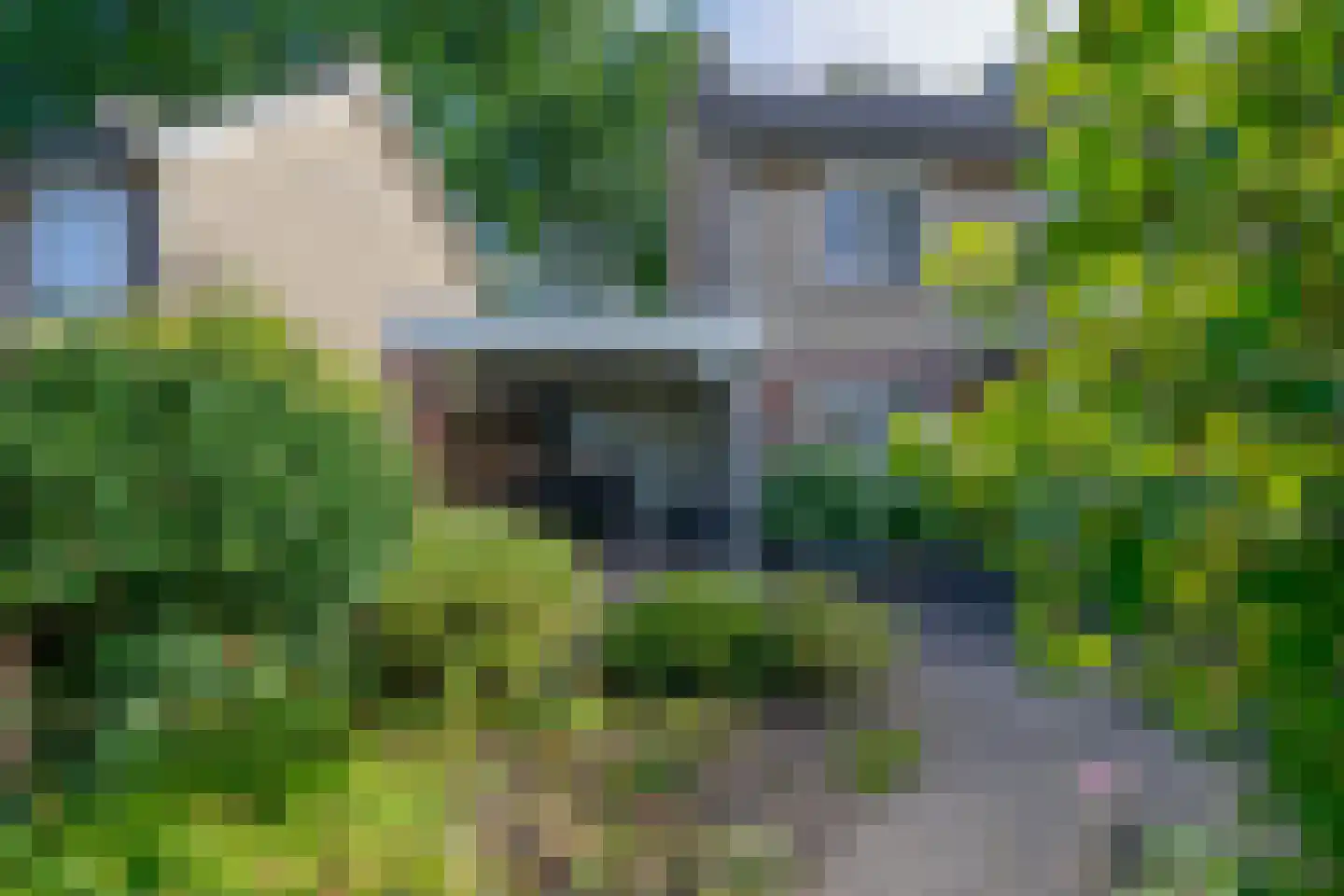 de Bremmen 12 Bakel thumbnail 37
