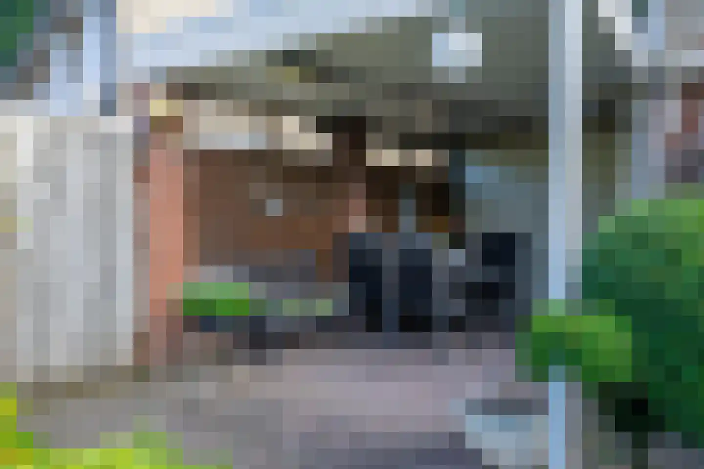 de Bremmen 12 Bakel thumbnail 38