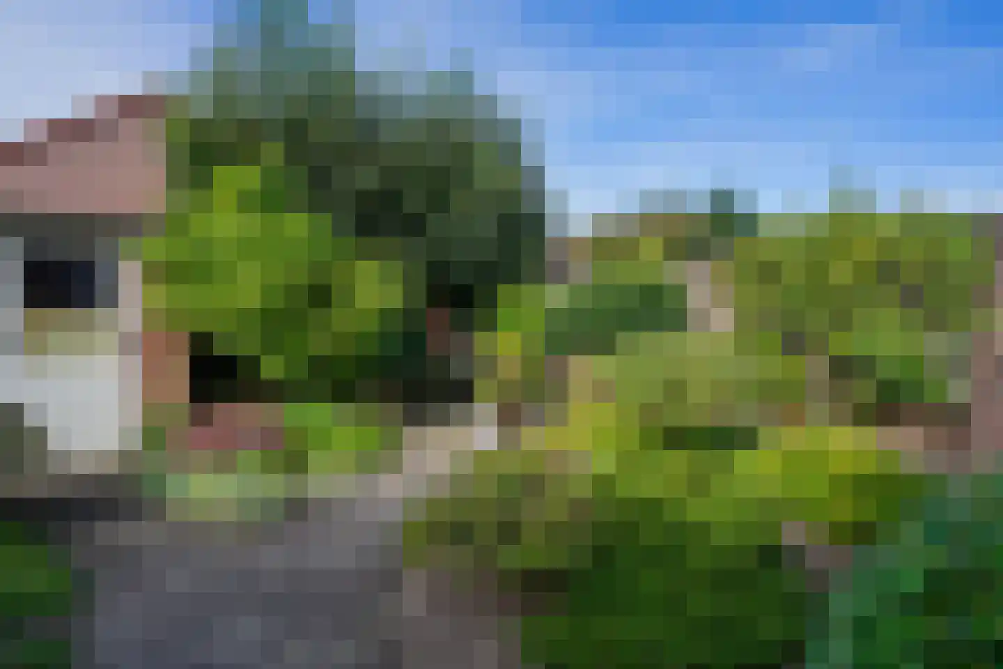 de Bremmen 12 Bakel thumbnail 39