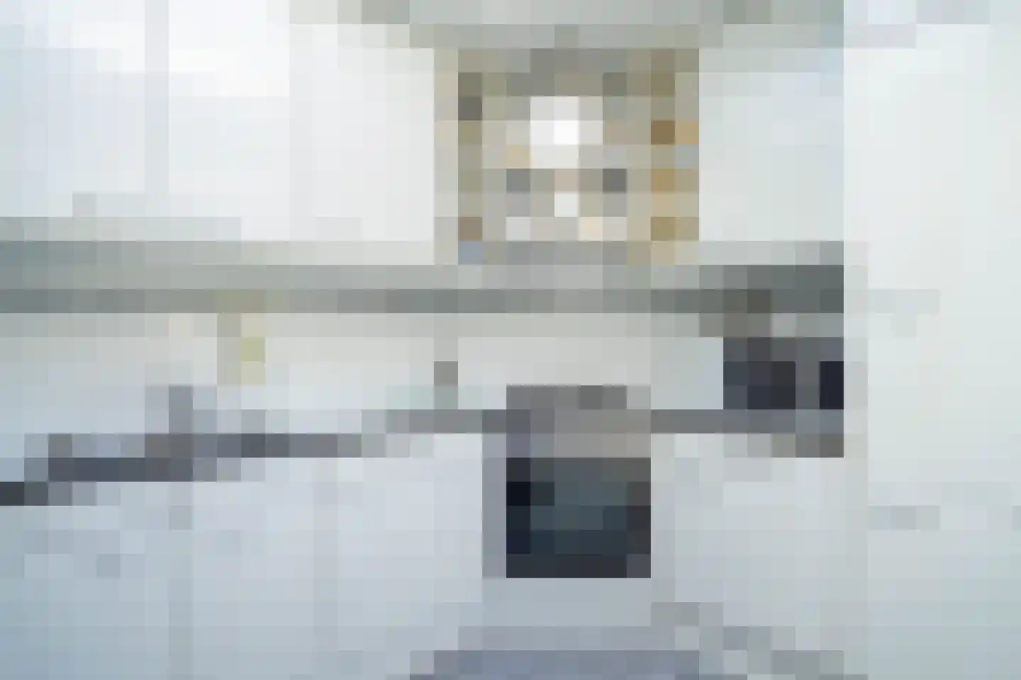 de Bremmen 12 Bakel thumbnail 4