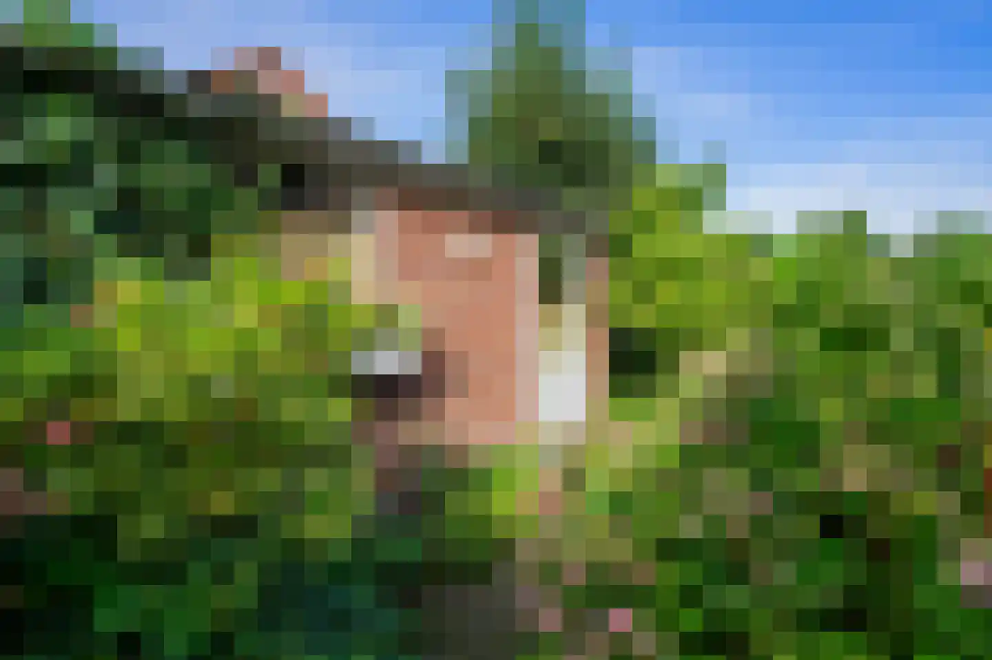 de Bremmen 12 Bakel thumbnail 40