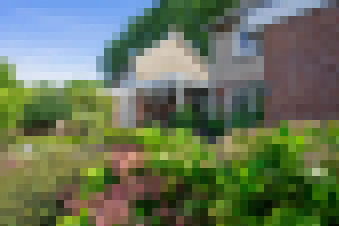 de Bremmen 12 Bakel thumbnail 41
