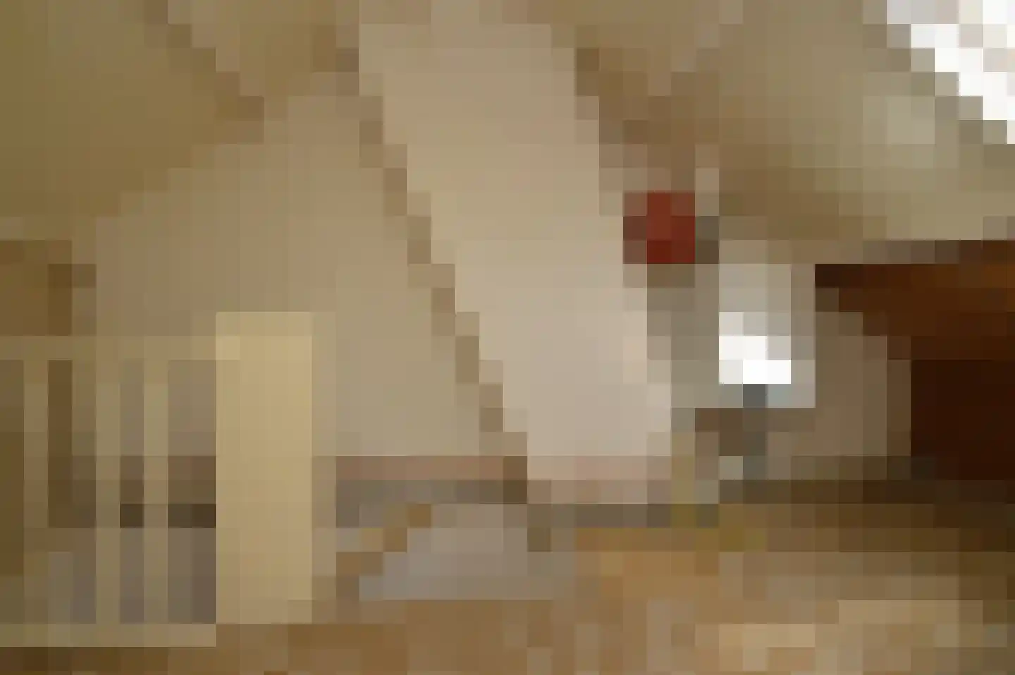 de Bremmen 17 Bakel thumbnail 15