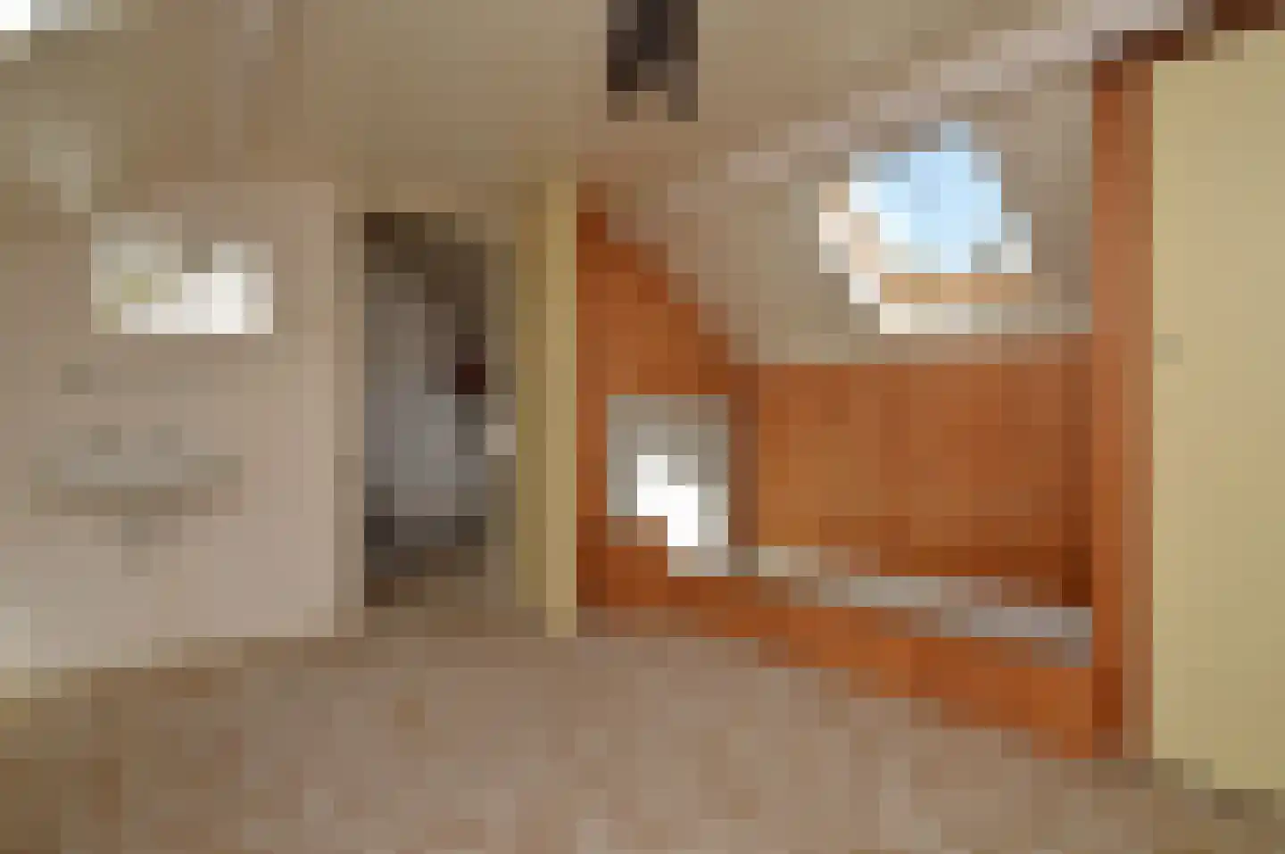 de Bremmen 17 Bakel thumbnail 16