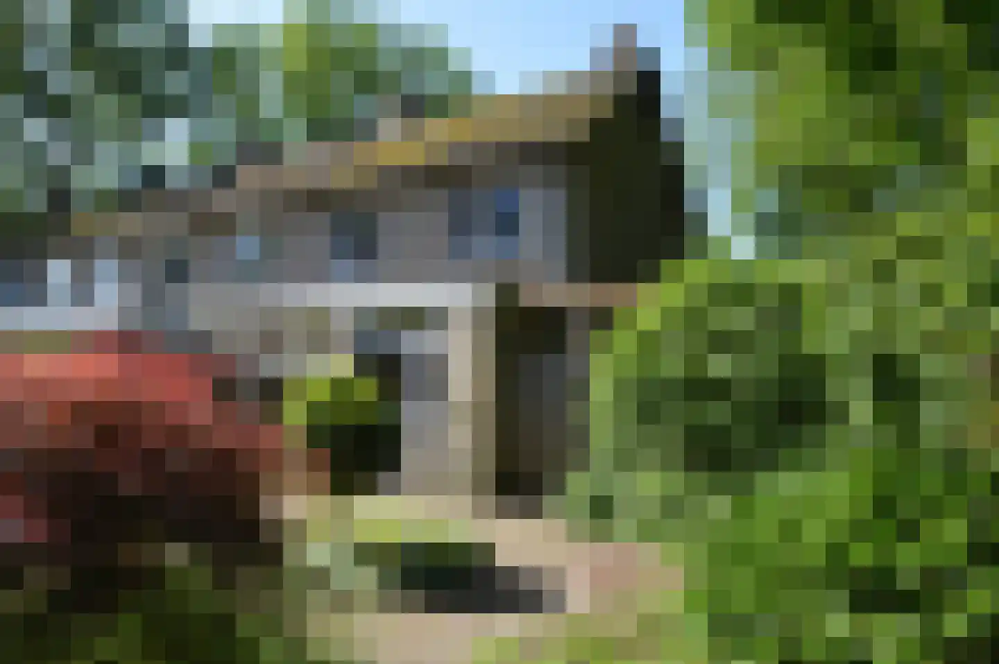 de Bremmen 17 Bakel thumbnail 17