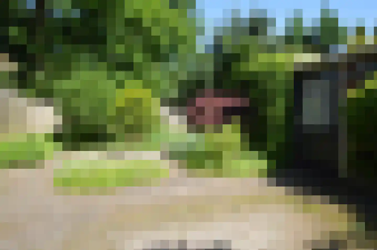de Bremmen 17 Bakel thumbnail 18