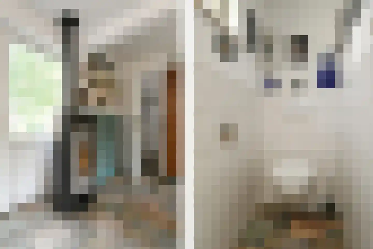 De Brentjes 29 Koningslust thumbnail 18