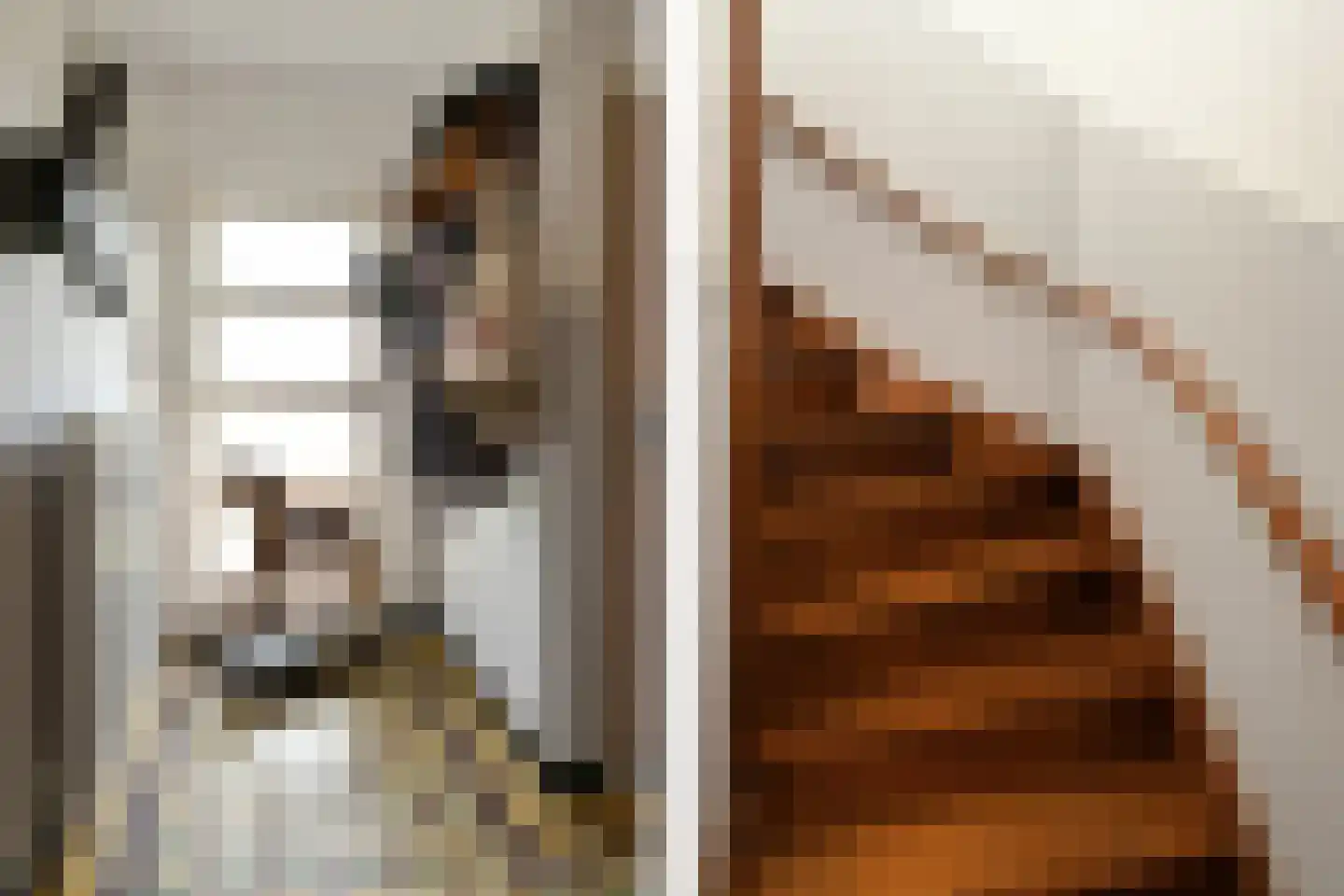 De Brentjes 29 Koningslust thumbnail 19