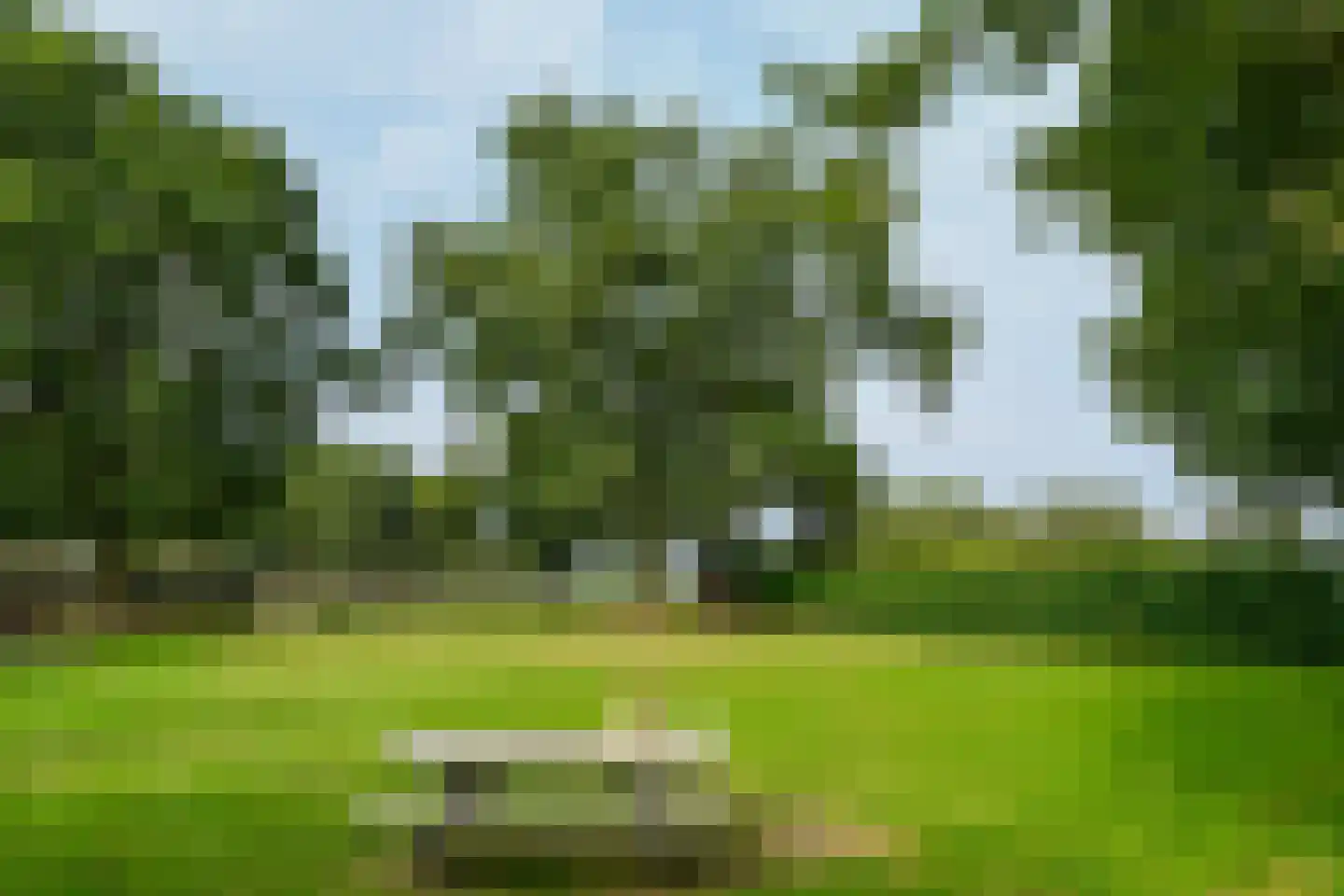 De Brentjes 29 Koningslust thumbnail 28