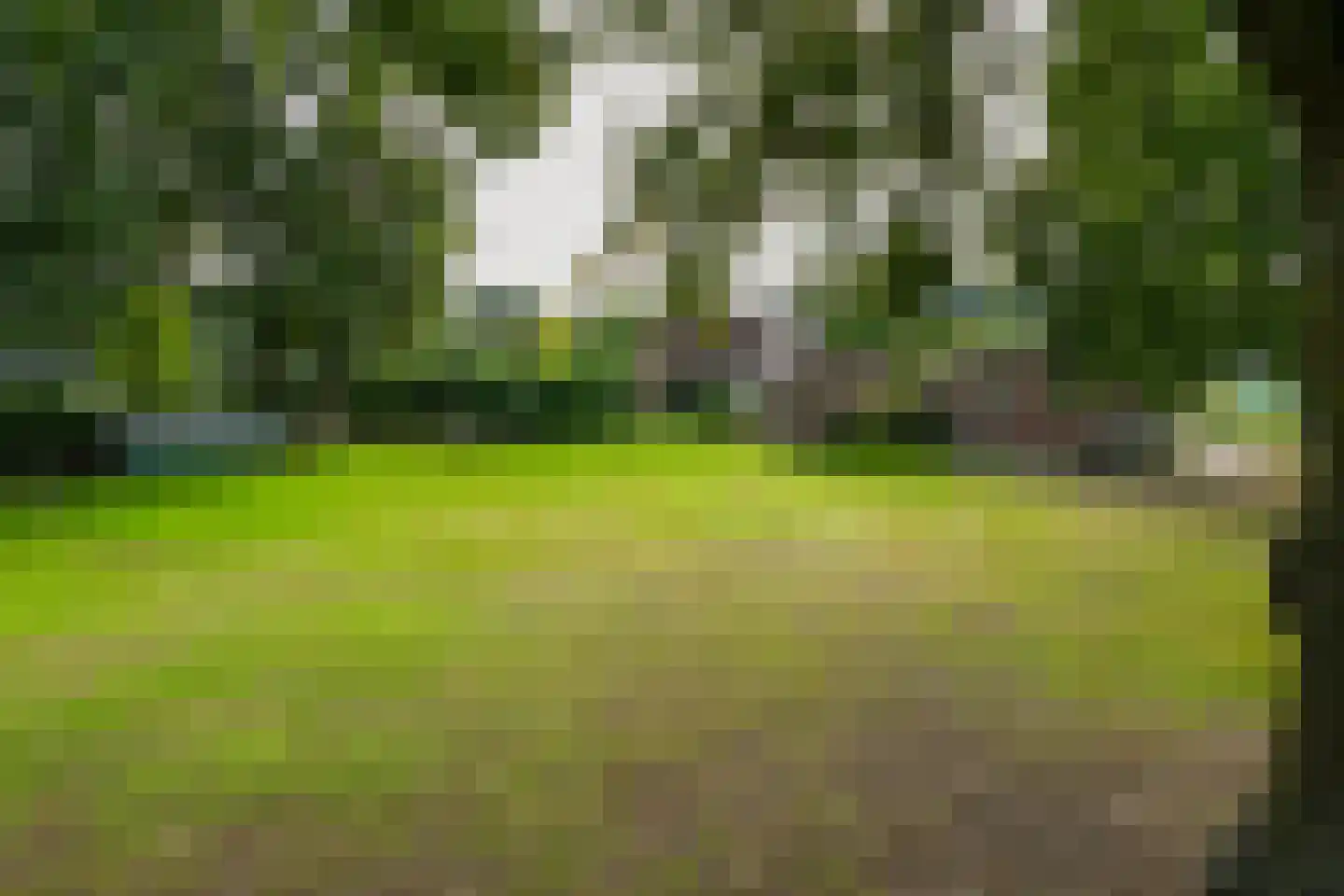 De Brentjes 29 Koningslust thumbnail 30