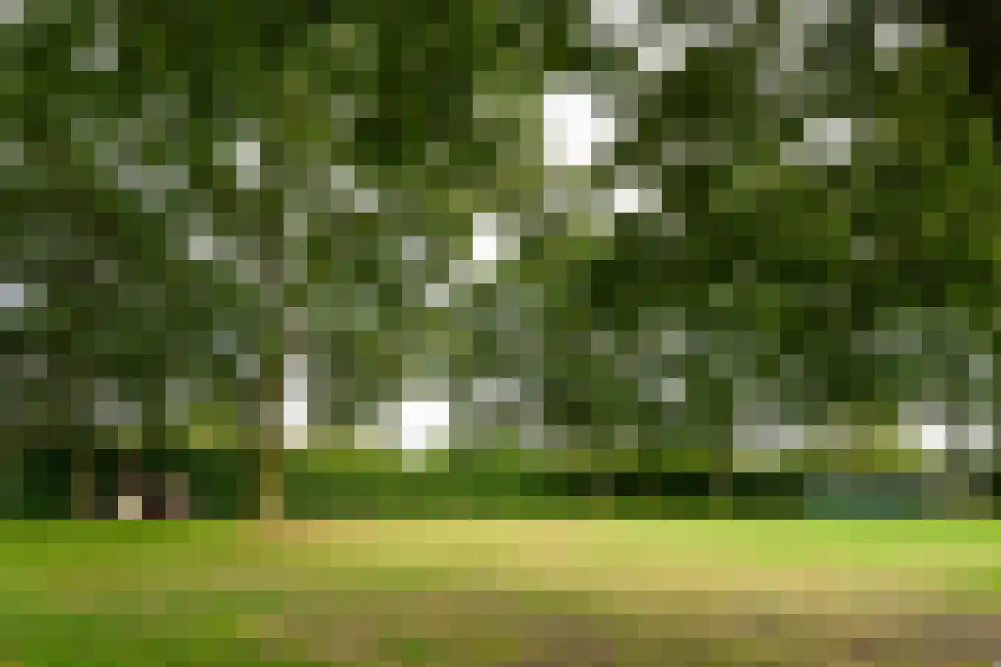 De Brentjes 29 Koningslust thumbnail 31