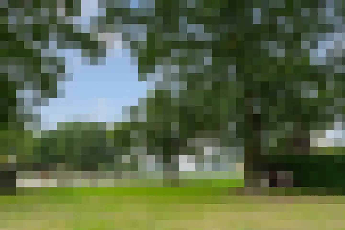De Brentjes 29 Koningslust thumbnail 34