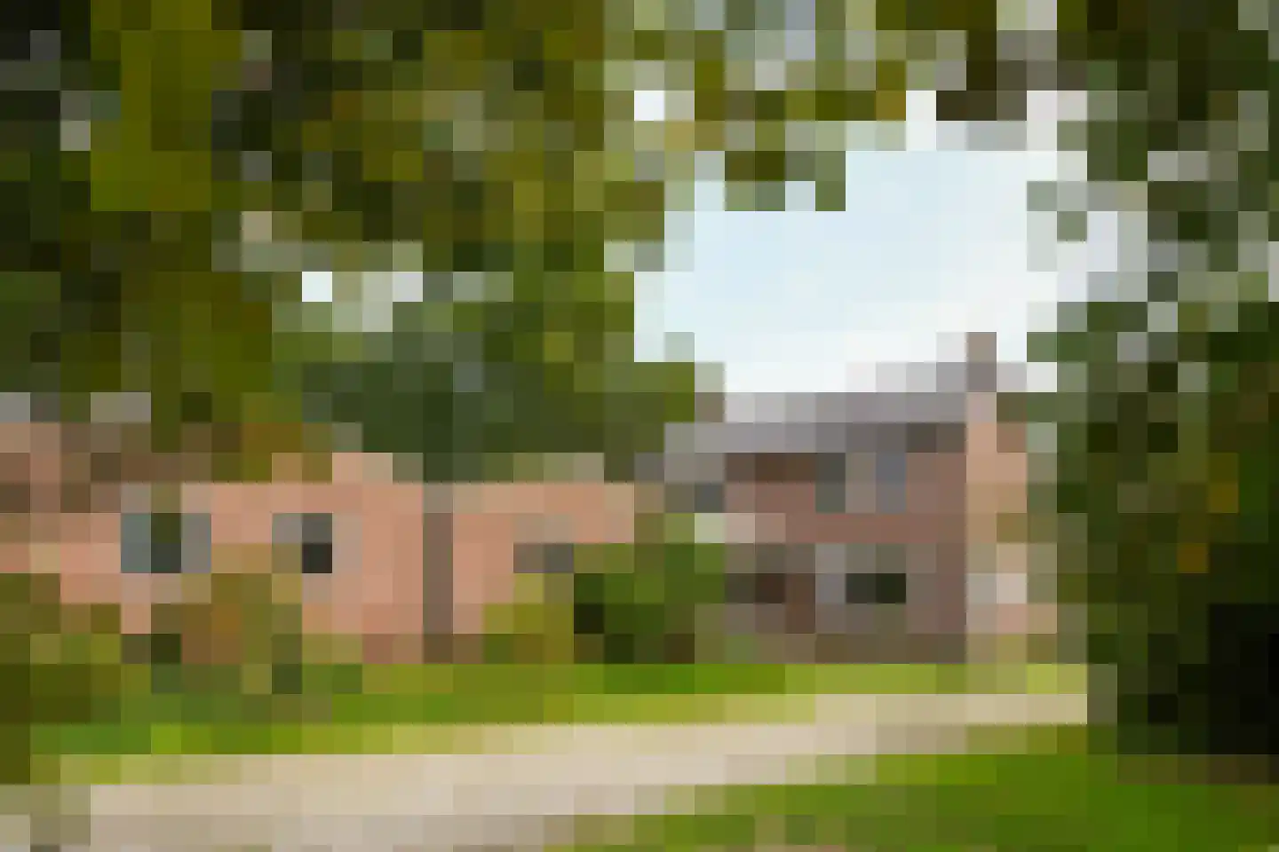 De Brentjes 29 Koningslust thumbnail 35