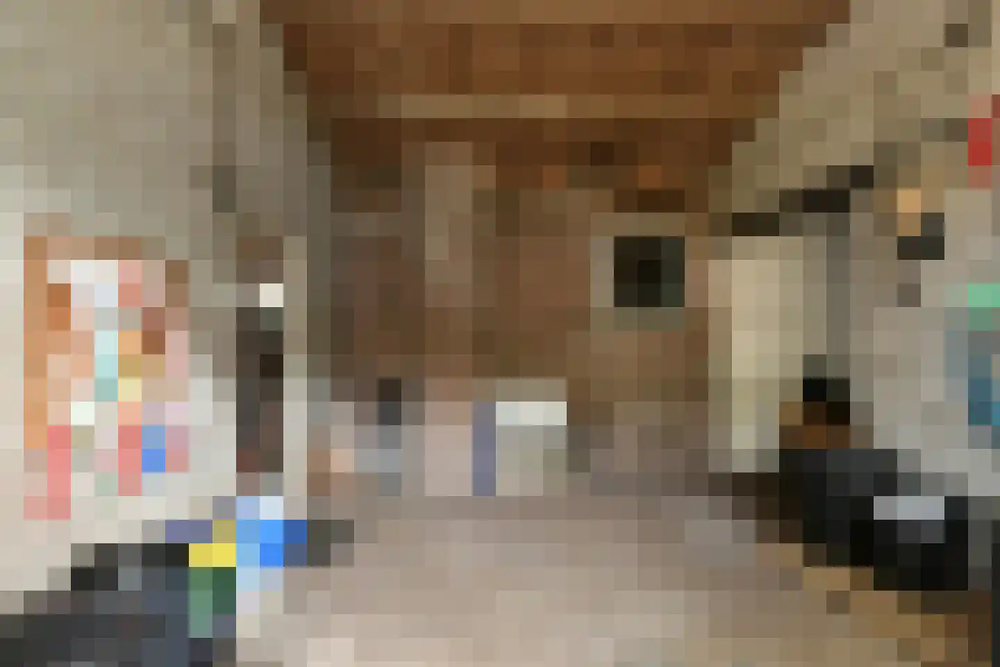 De Brentjes 29 Koningslust thumbnail 39