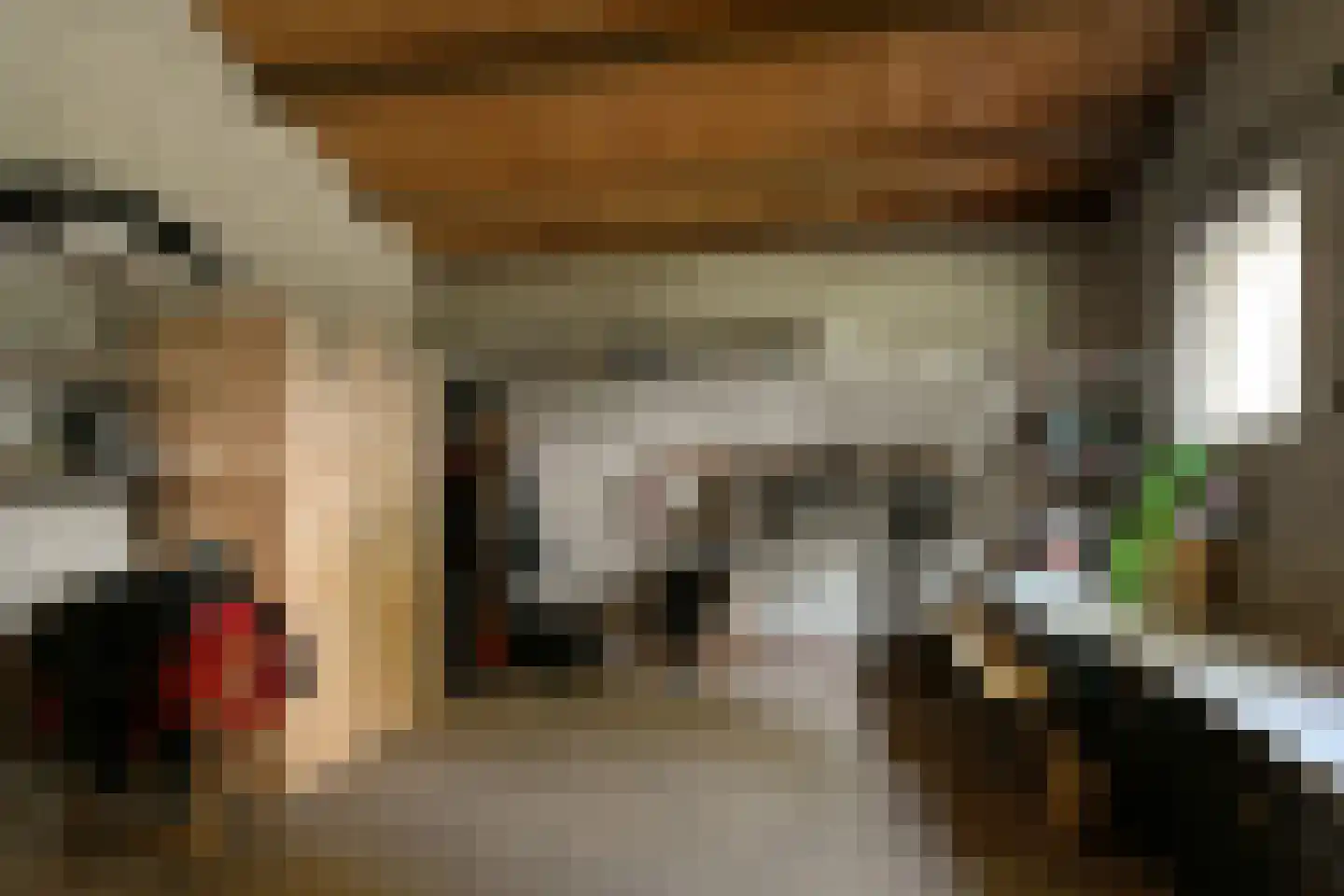 De Brentjes 29 Koningslust thumbnail 42