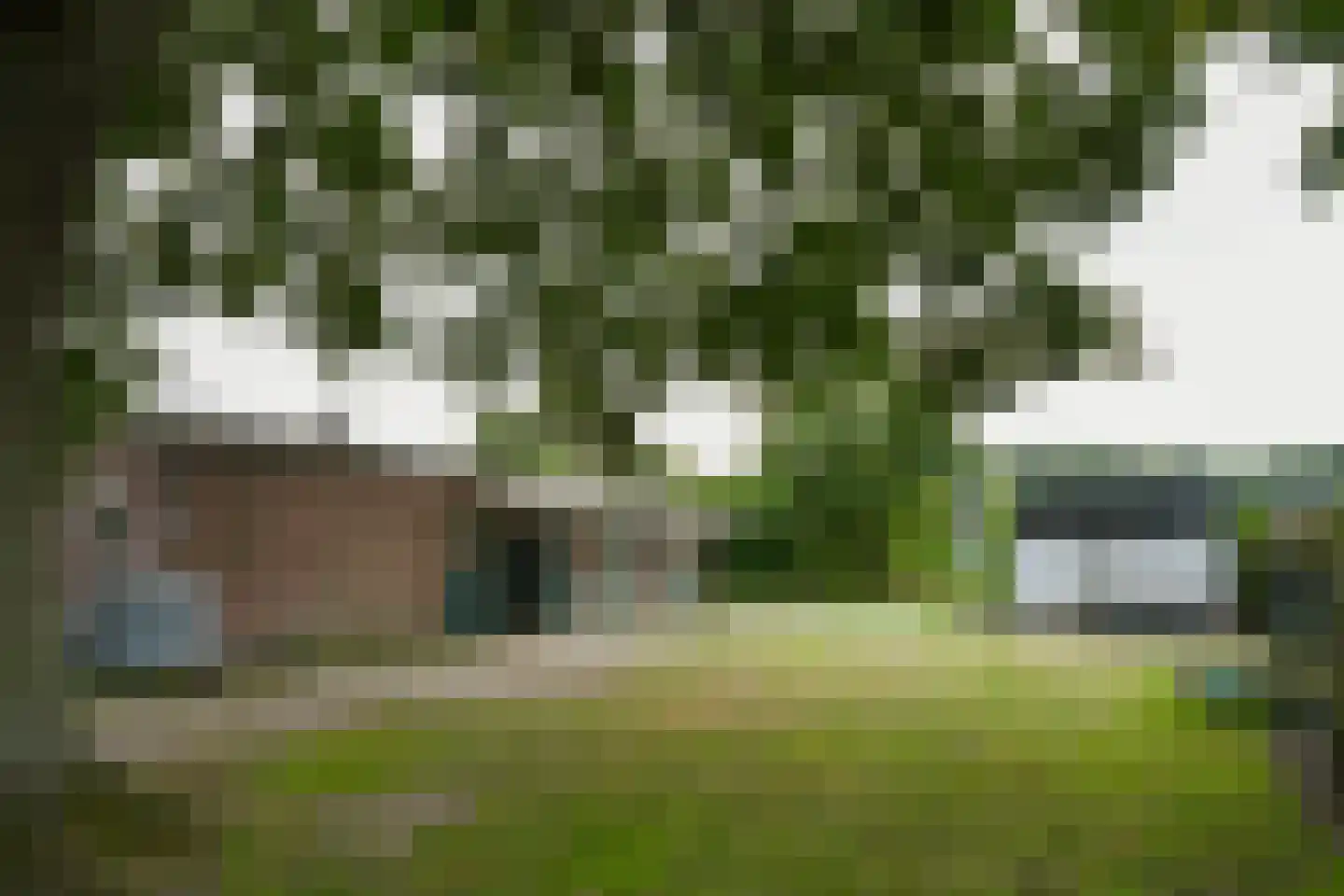 De Brentjes 29 Koningslust thumbnail 43