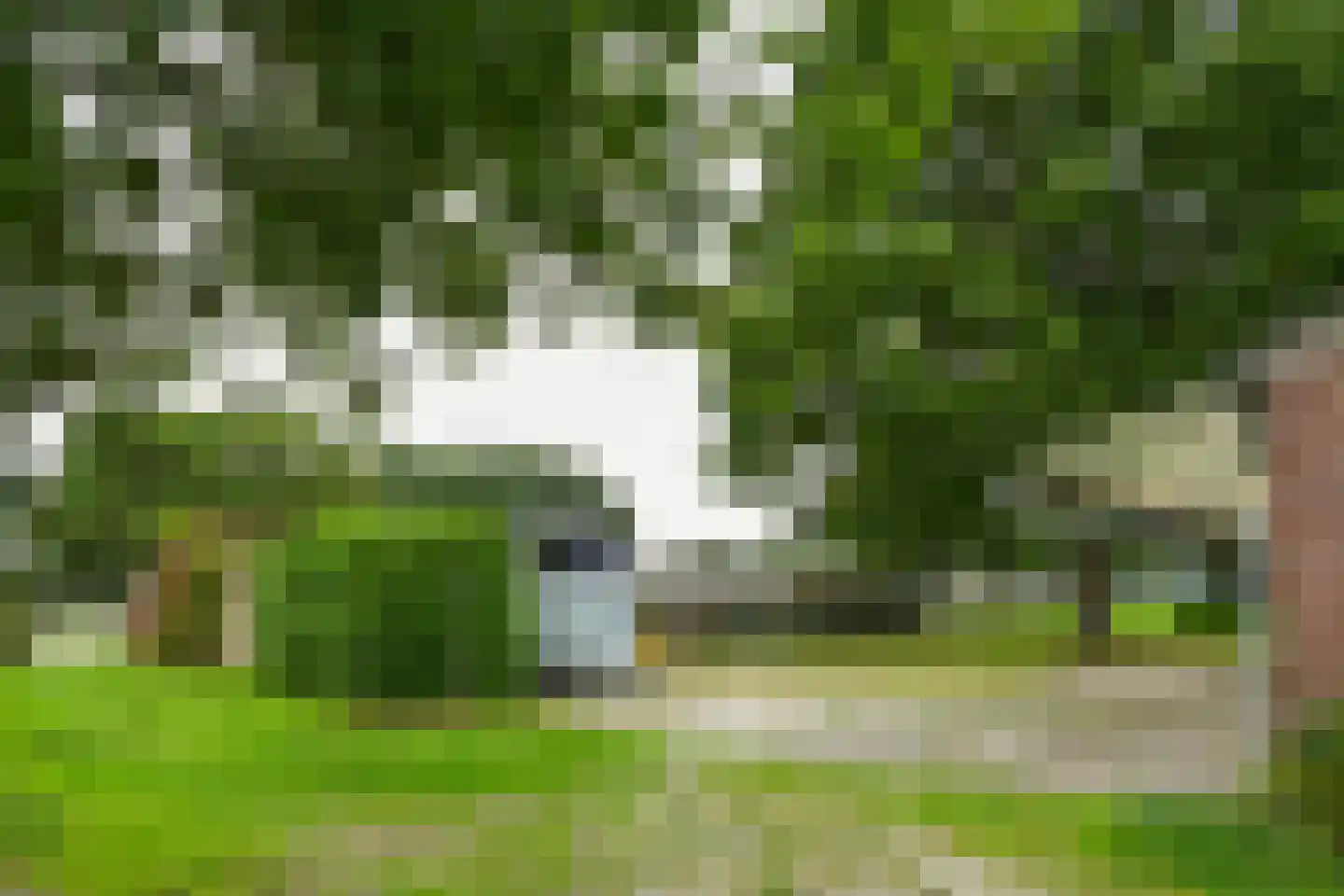 De Brentjes 29 Koningslust thumbnail 44
