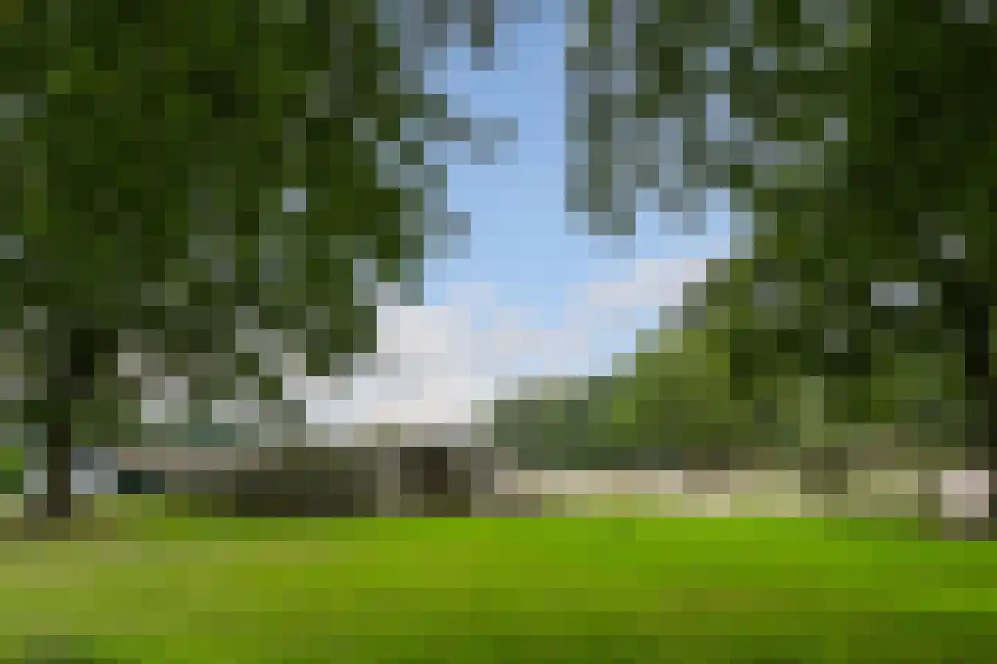 De Brentjes 29 Koningslust thumbnail 46