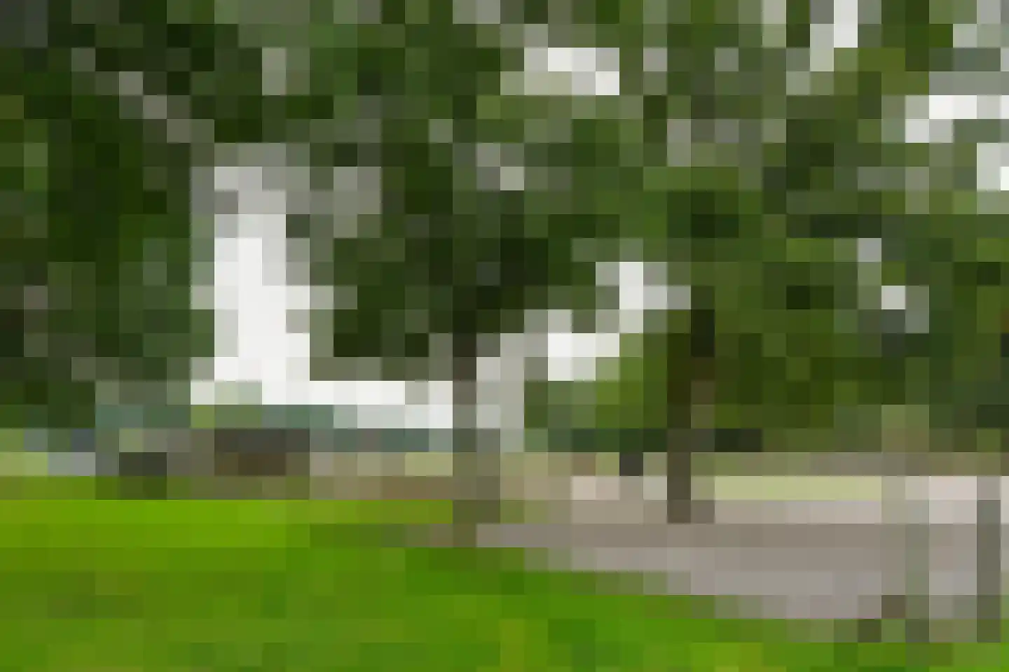 De Brentjes 29 Koningslust thumbnail 47