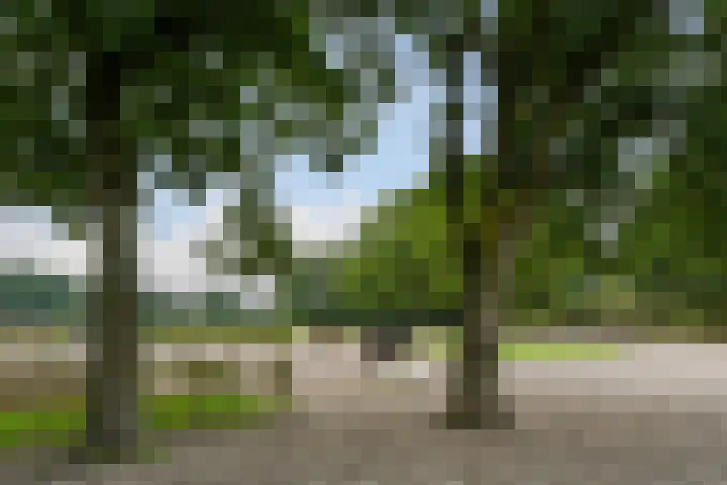De Brentjes 29 Koningslust thumbnail 49