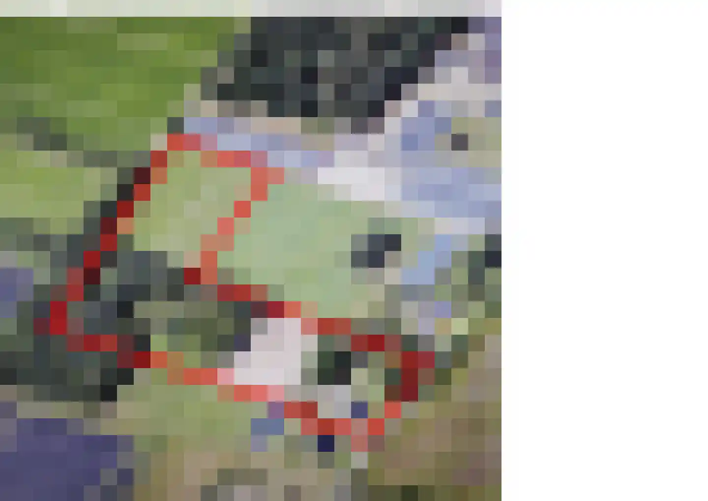 De Brentjes 29 Koningslust thumbnail 5