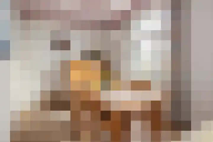 De Brentjes 53 Koningslust thumbnail 10