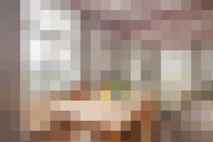 De Brentjes 53 Koningslust thumbnail 11